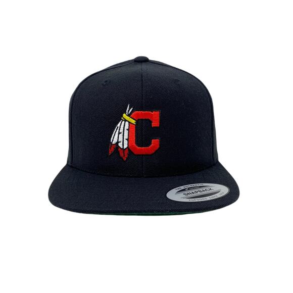 Indian Feathers Snapback Hat - Picture 2 of 7